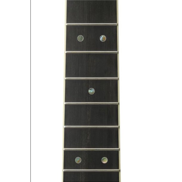 Yamaha LL16 ARE Dark Tinted